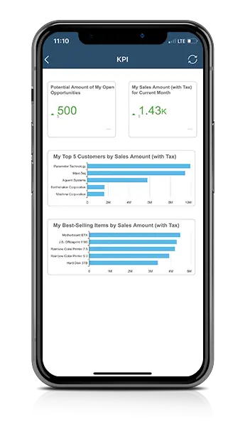 Sap Business - Aclaros