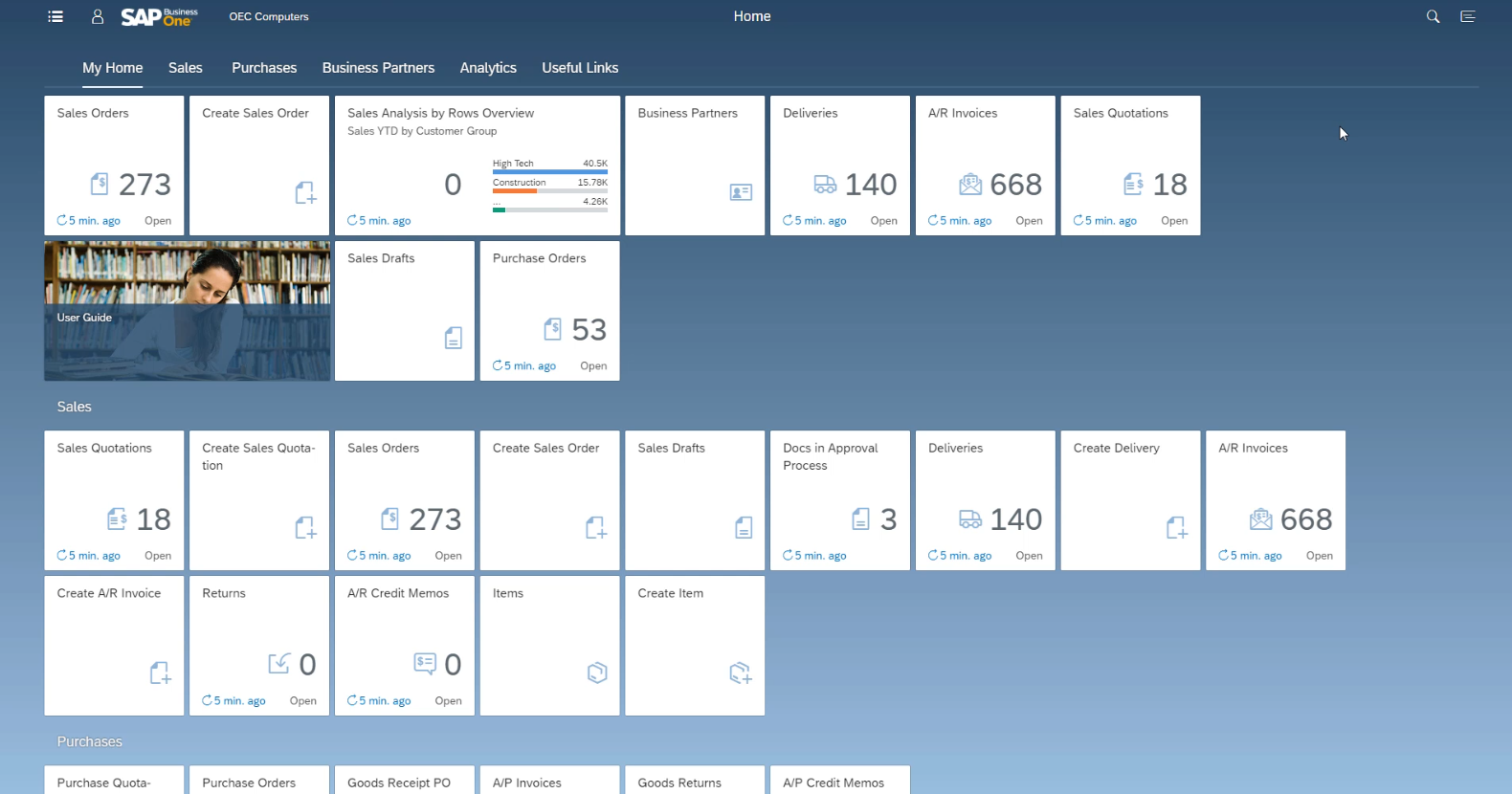 SAP Business One user interface